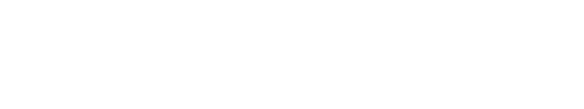 raimund Logo